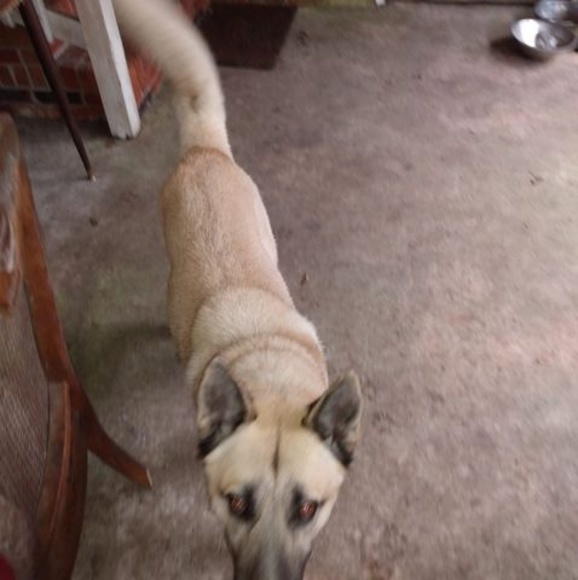 Meet your Posher, Jerome - Picture 1 of 1